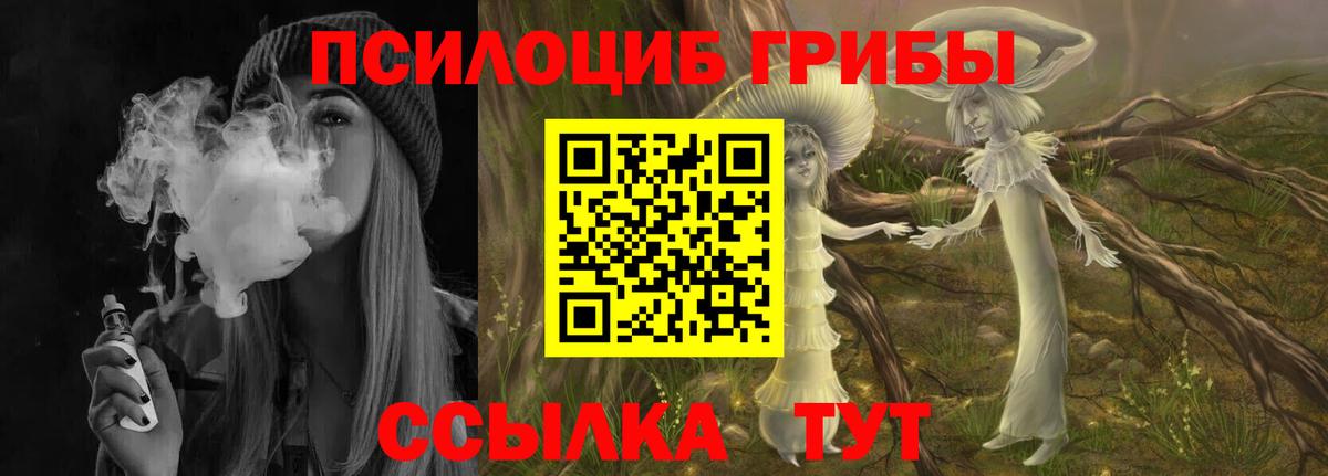 Псилоцибиновые грибы MAGIC MUSHROOMS Тулун